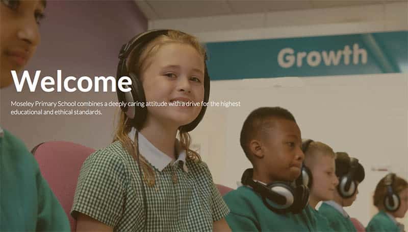 Sectors Moseley Primary School
