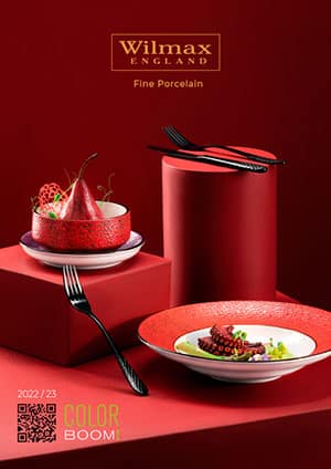 Wilmax England™ Tableware - Brands WILMAX Color boom 2022 23 ENG СOVER