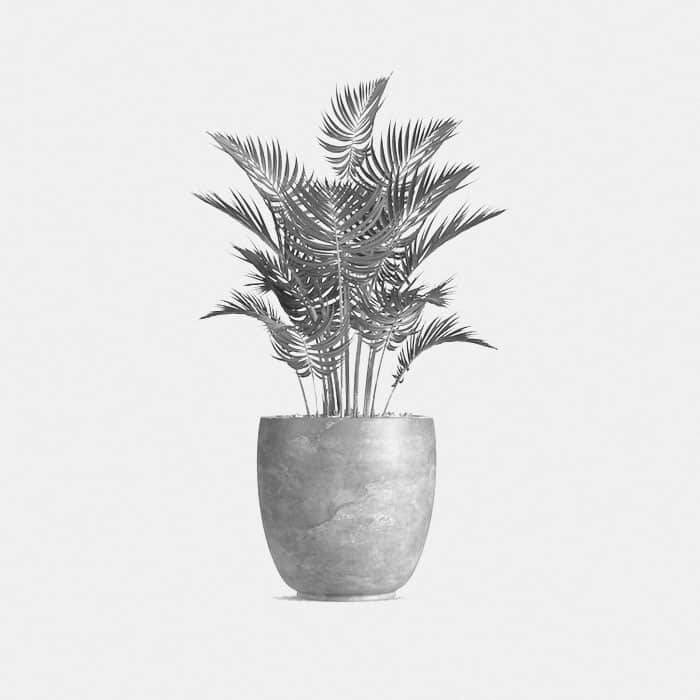 Styling styling planters greenery