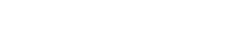 Exclusive Brands wilmax logo only white